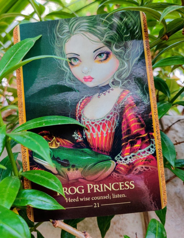 the frog princess oracle card